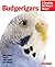 Budgerigars (Complete Pet Owner's Manual)