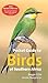 Pocket Guide to Southern Africa Birds by Burger Cillié