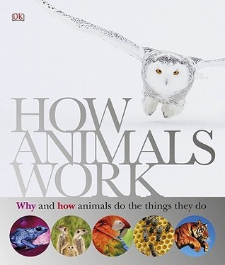 How Animals Work (Hardcover)