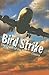 Bird Strike: The Crash of the Boston Electra