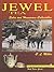 Jewel Tea: Sales and Houseware Collectibles (A Schiffer Book for Collectors)