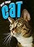 Cat (My Pet)