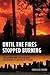 Until the Fires Stopped Burning by Charles B. Strozier