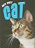 Cat (My Pet)