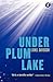 Under Plum Lake