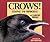 Crows!: Strange and Wonderful