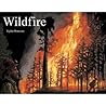 Wildfire Wildfire