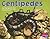 Centipedes (Bug, Bugs, Bugs!)