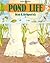 Pond Life by Rena K. Kirkpatrick