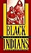 Black Indians: A Hidden Her...
