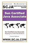 SCJA Sun Certified Java Associate Study Guide for Test CX-310-019, 2nd Edition - Incredible Update to the former ExamScam Book