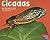 Cicadas (Pebble Plus; Bugs, Bugs, Bugs)