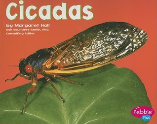 Cicadas (Pebble Plus; Bugs, Bugs, Bugs)