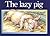 The Lazy Pig