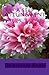 A Self Attunement: Maha Mok...