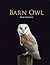 Barn Owl