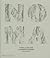 Noma: Time and Place in Nor...