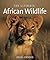 The Ultimate African Wildlife
