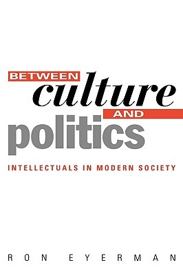 Between Culture and Politics: Intellectuals in Modern Society (Hardcover)