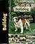 Bulldog (Pet Love)