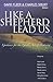 Like A Shepherd Lead Us by David Fleer
