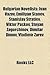 Bulgarian Novelists: Ivan V...