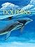 We Are Dolphins