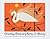 Charles Harper's Birds and Words