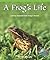 A Frog's Life (Rosen Publishing Group's Reading Room Collection)