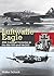 Luftwaffe Eagle by Walter Schuck