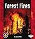 Forest Fires (Pull Ahead Books)