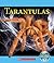Tarantulas