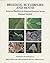British Pyralid Moths: A Guide to Their Identification
