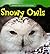 Snowy Owls (Animals That Live in the Tundra)