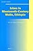 Islam in Nineteenth-Century Wallo, Ethiopia: Revival, Reform and Reaction (Social, Economic and Political Studies of the Middle East and Asia, 74)