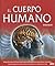 El Cuerpo Humano