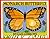 Monarch Butterfly (New & Updated)
