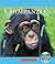 Chimpanzees (Nature's Children)