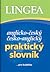 Anglicko-český česko-anglický praktický slovník