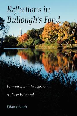 Reflections in Bullough's Pond: Economy and Ecosystem in New England (Paperback)