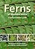 Ferns of Southern Africa: A Comprehensive Guide
