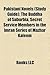 Pakistani Novels: The Buddha of Suburbia, Secret Service Members in the Imran Series of Mazhar Kaleem, the Reluctant Fundamentalist, Raja Gidh