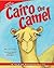 Cairo the Camel: A Tale of ...