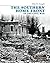 The Southern Home Front of the Civil War (Why We Fought: The Civil War)