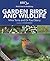 Garden Birds and Wildlife