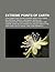 Extreme Points of Earth: Challenger Deep, Mount Everest, North Pole, Dead Sea, Mariana Trench, Lake Baikal, Mauna Loa, Khunjerab Pass