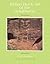 Indian Rock Art of the Southwest by Polly Schaafsma