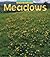 Meadows (Wild Britain: Habitats)