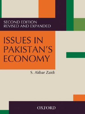 Issues in Pakistan's Economy (Paperback)