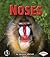 Noses (First Step Nonfictio...